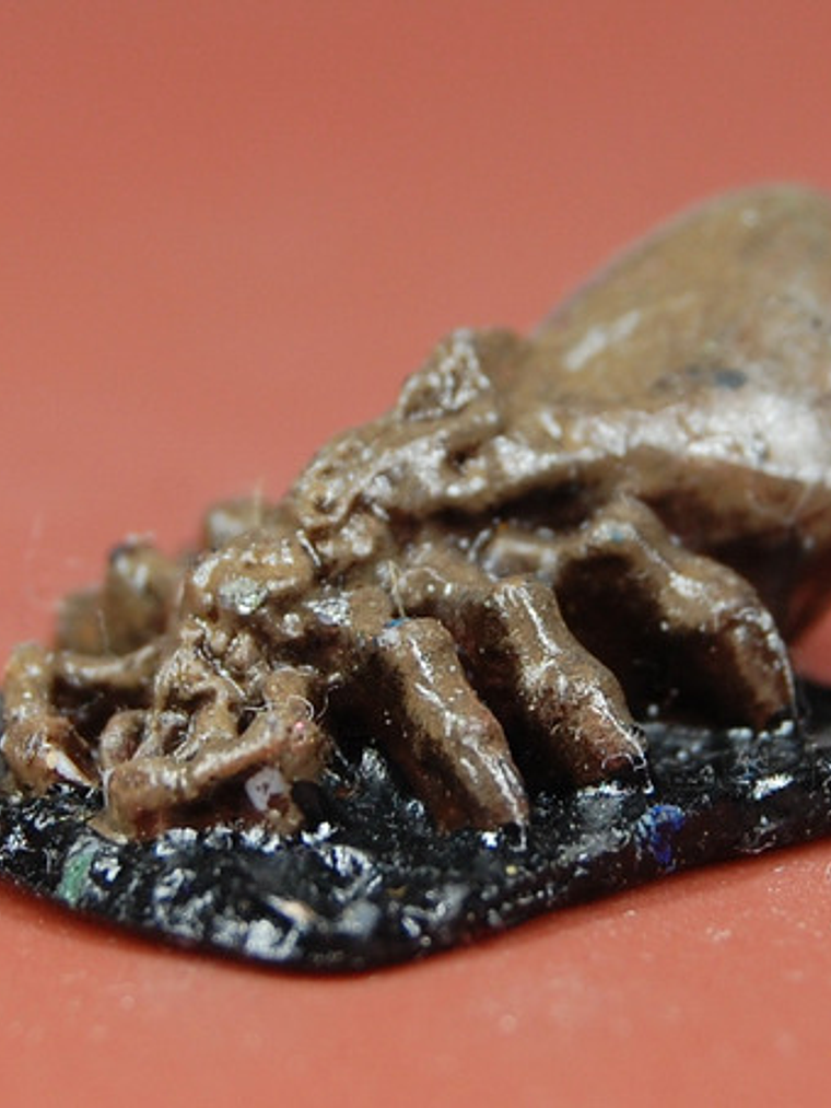 Giant Tick / Mini Reaper Dungeons And Dragons 3