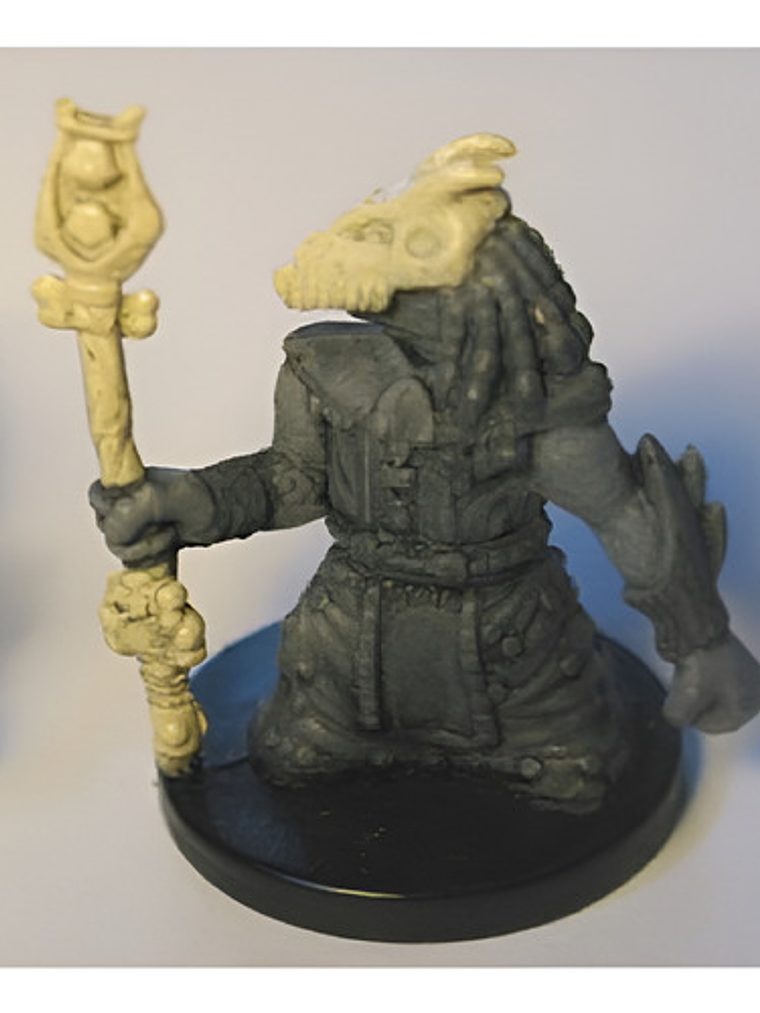 Troglodyte Curse Chanter #52 Demonweb Mini Dungeons Dragons 1