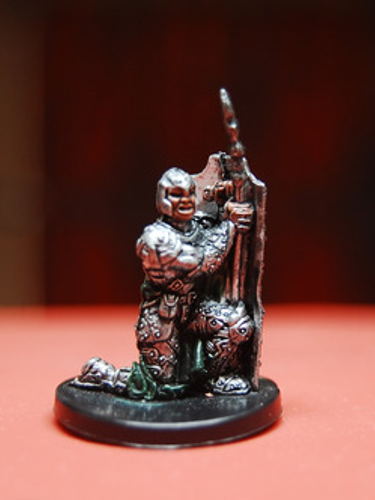 Shieldwall Soldier #10 War Drums Mini Dungeons And Dragons 2