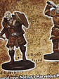 Goliath Fighter Nolzur Miniatura Dungeons & Dragons - Miniatura 6