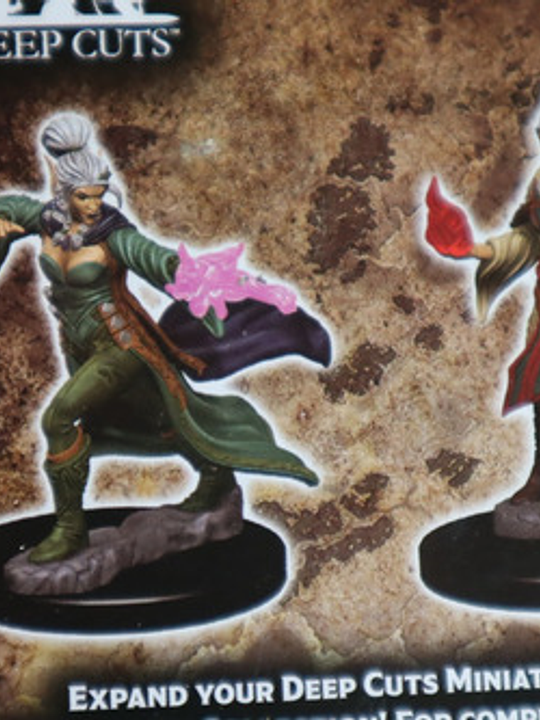 Elf Female Sorcerer Deep Cuts Miniaturas Dungeons & Dragons 4