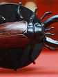 Celestial Giant Stag Beetle #02 Blood War Mini Dungeons Dnd - Miniatura 1