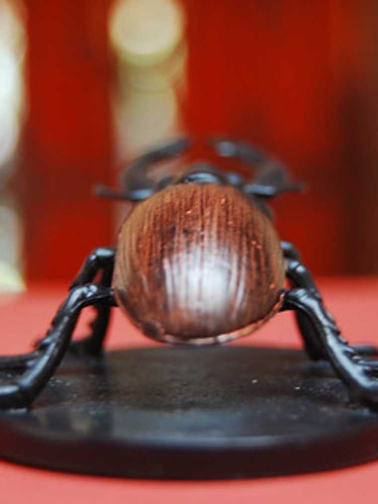 Celestial Giant Stag Beetle #02 Blood War Mini Dungeons Dnd 2