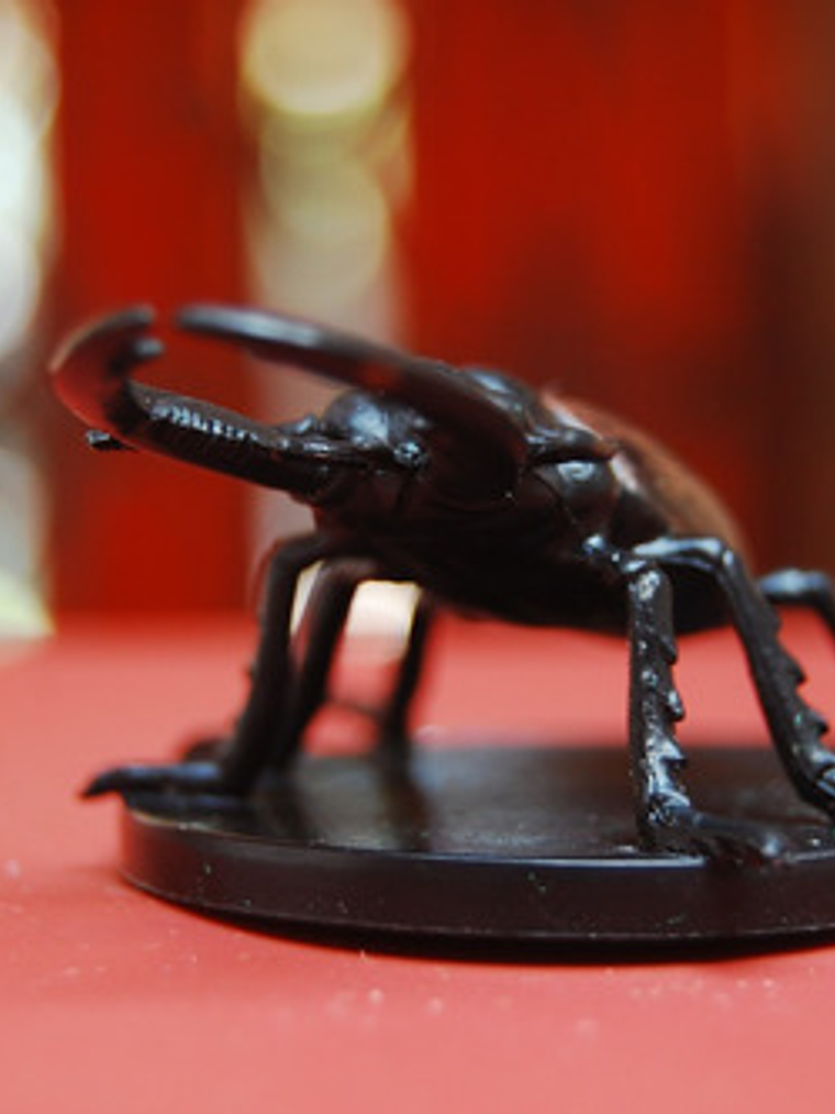 Celestial Giant Stag Beetle #02 Blood War Mini Dungeons Dnd 4