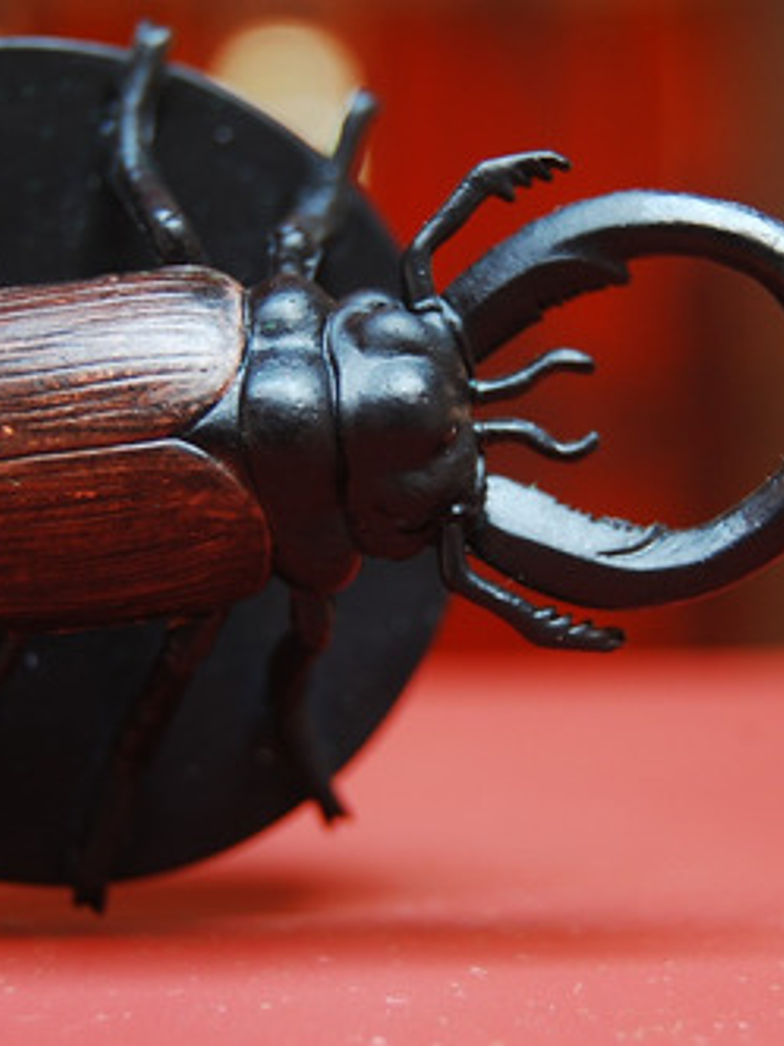 Celestial Giant Stag Beetle #02 Blood War Mini Dungeons Dnd 6