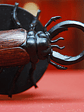 Celestial Giant Stag Beetle #02 Blood War Mini Dungeons Dnd - Miniatura 6