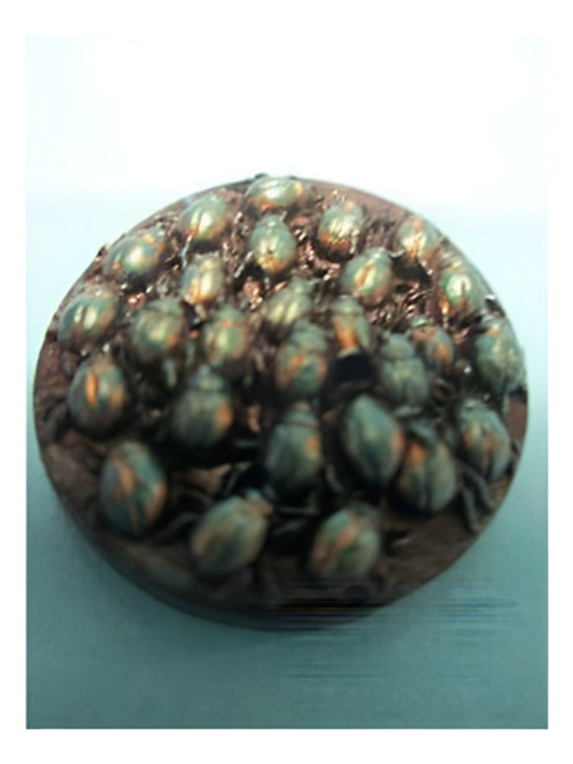 Rot Scarab Swarm / Miniaturas Dungeons And Dragons Dnd 1