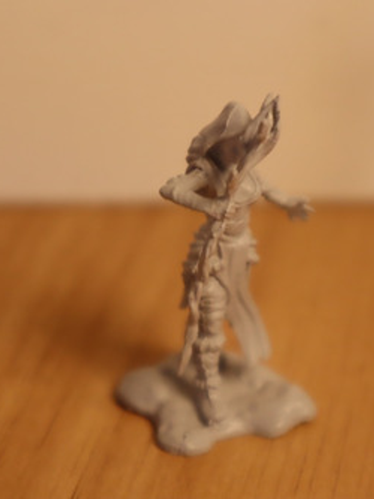 Human Female Druid #2 Mini Nolzur Pintar Dungeons & Dragons 2