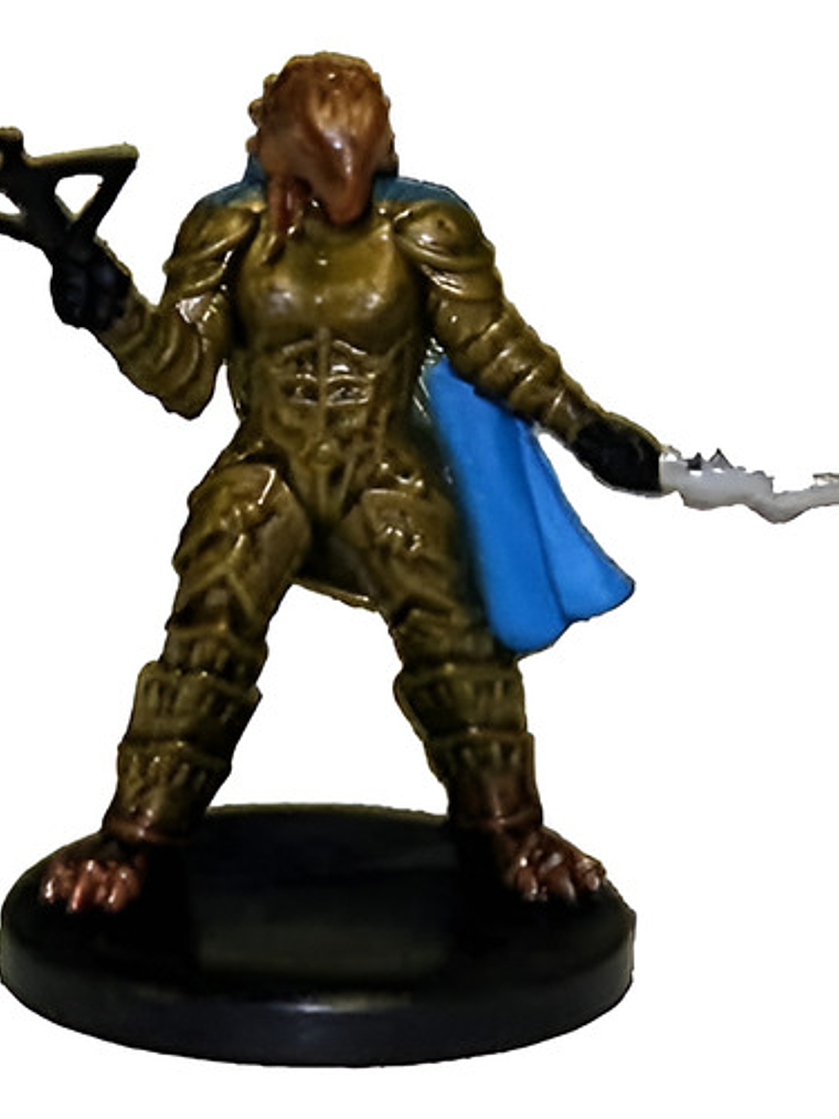 Female Dragonborn Rogue #02 Phb Heroes Mini Dungeons Dragons 1