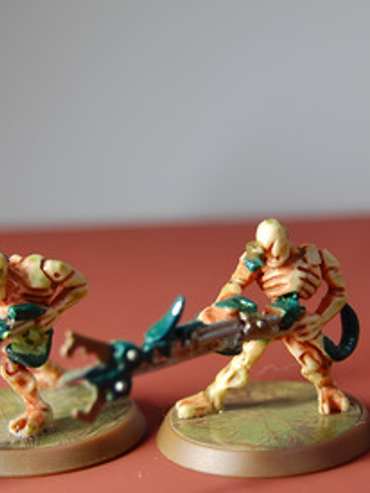 Marro Stingers / Heroscape Miniaturas Dungeons And Dragons 1