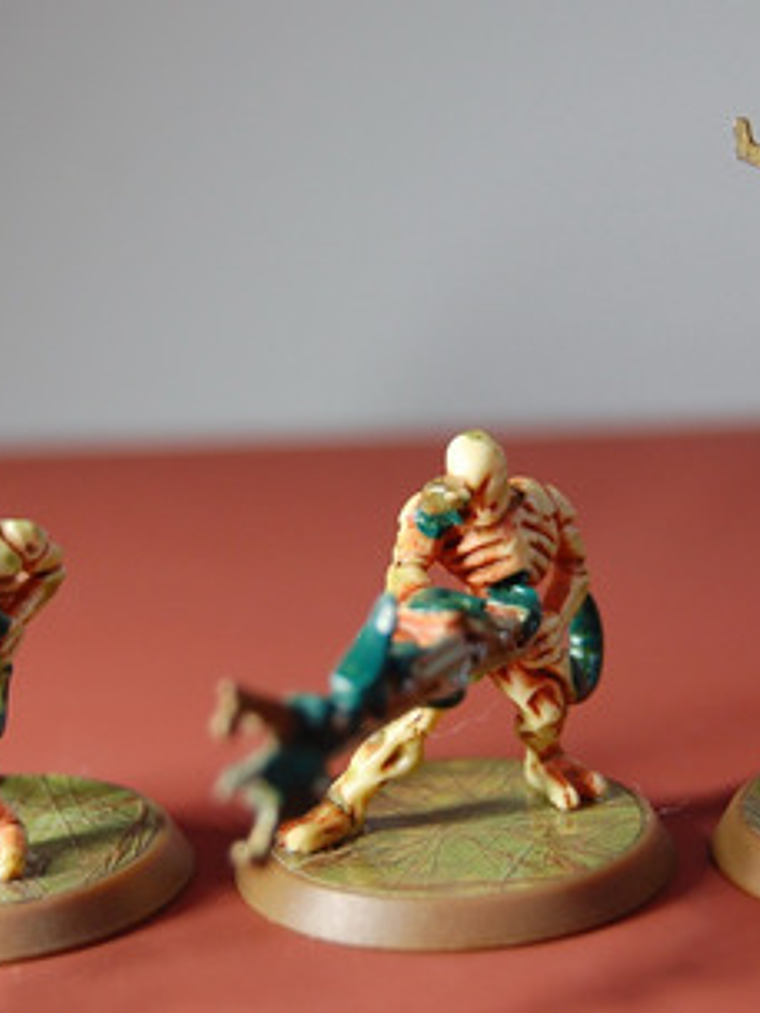 Marro Stingers / Heroscape Miniaturas Dungeons And Dragons 2
