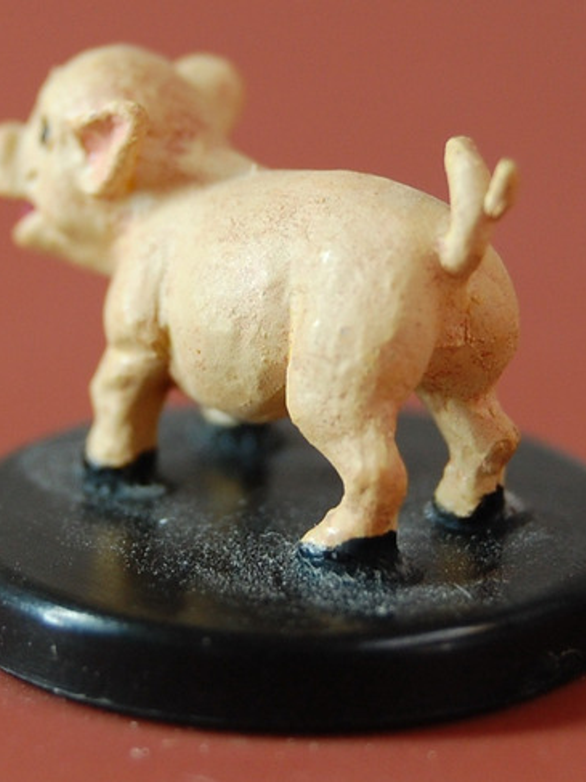 Squealy Nord #09 Lost Coast Miniatura Dungeons Dragons Mini 3