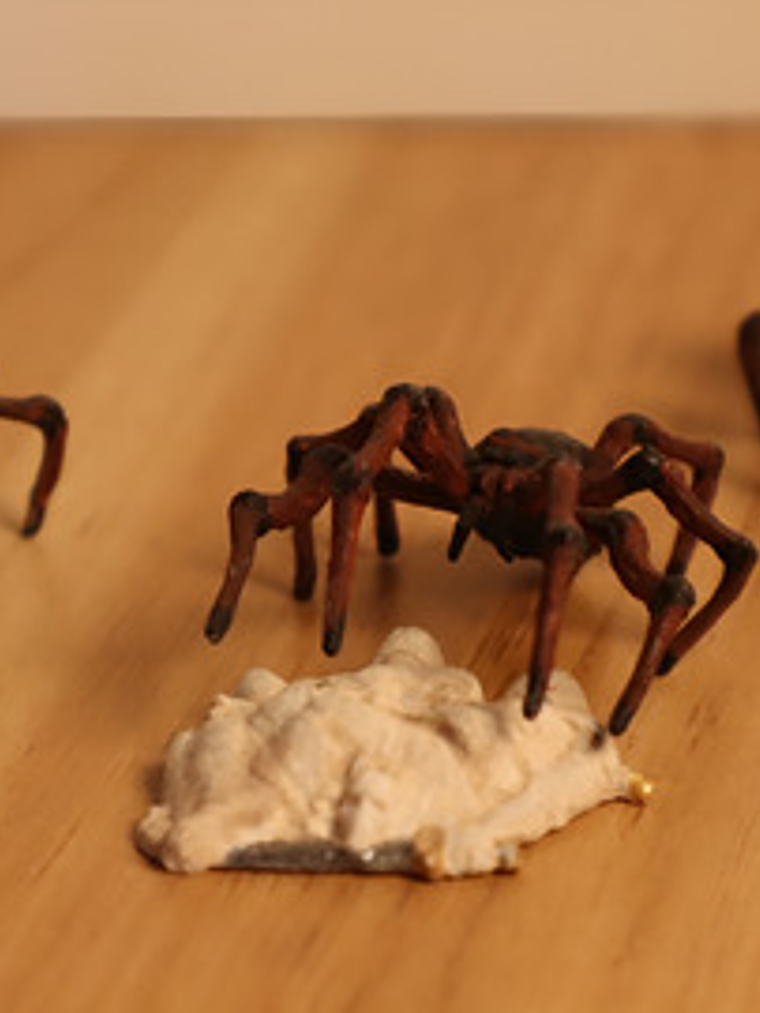 Spiders 3x Set / Mini Nolzur Marvelous Dungeons And Dragons 1