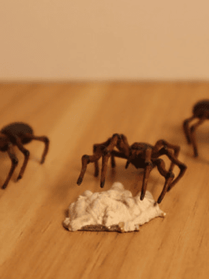 Spiders 3x Set / Mini Nolzur Marvelous Dungeons And Dragons