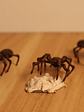 Spiders 3x Set / Mini Nolzur Marvelous Dungeons And Dragons - Miniatura 2