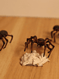 Spiders 3x Set / Mini Nolzur Marvelous Dungeons And Dragons - Miniatura 3