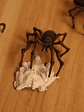 Spiders 3x Set / Mini Nolzur Marvelous Dungeons And Dragons - Miniatura 4
