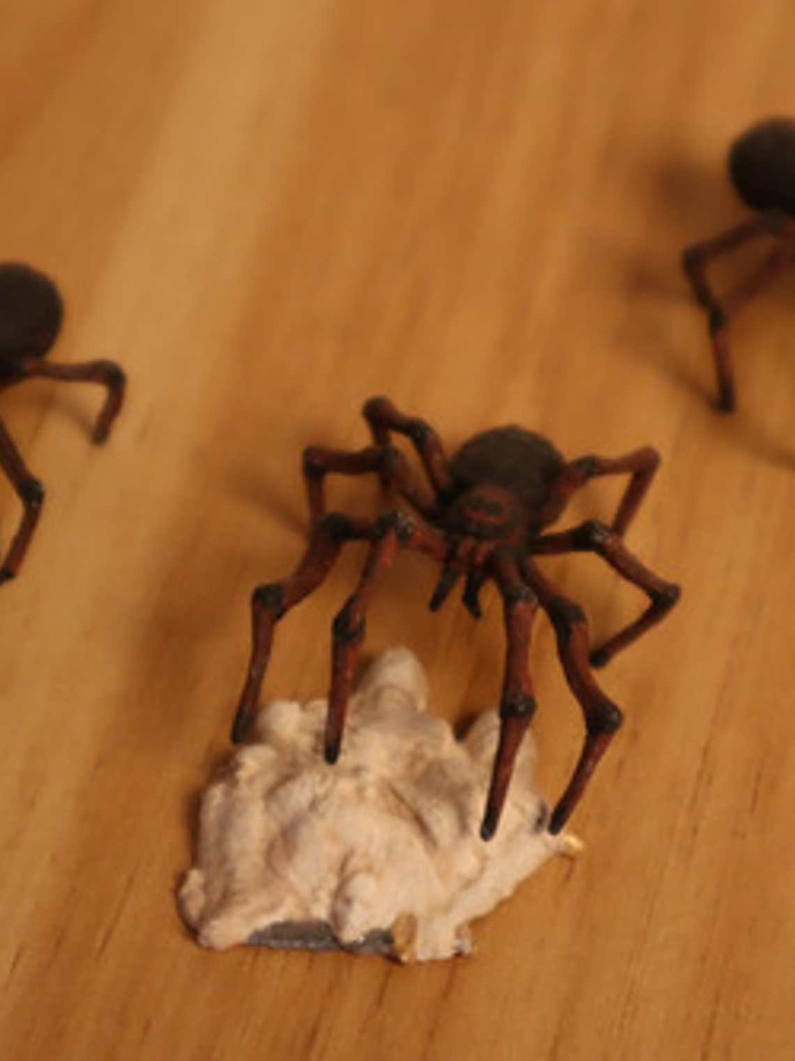 Spiders 3x Set / Mini Nolzur Marvelous Dungeons And Dragons 5