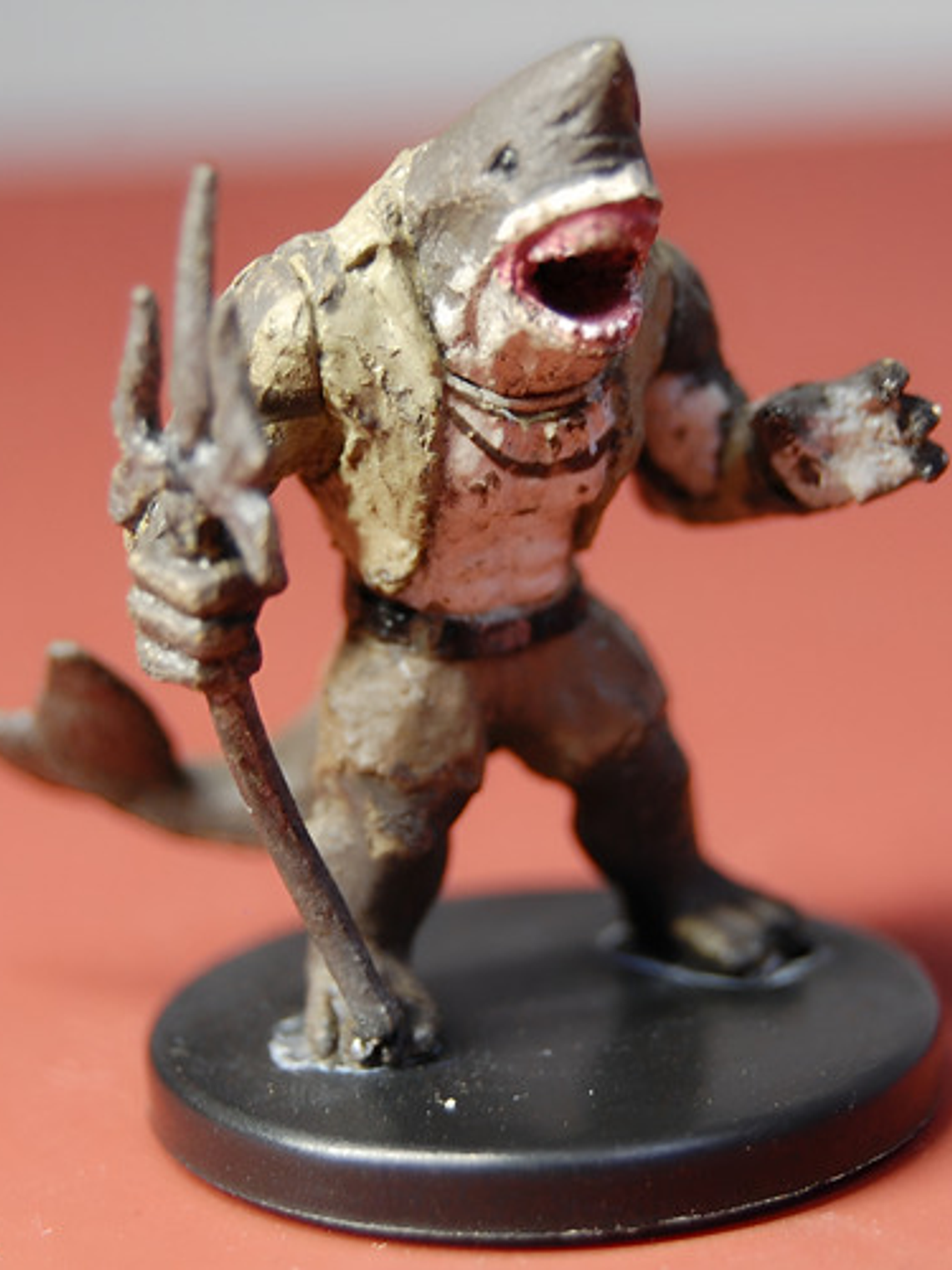 Wereshark Pirate #12 Skull & Shackles Dungeons And Dragons 1