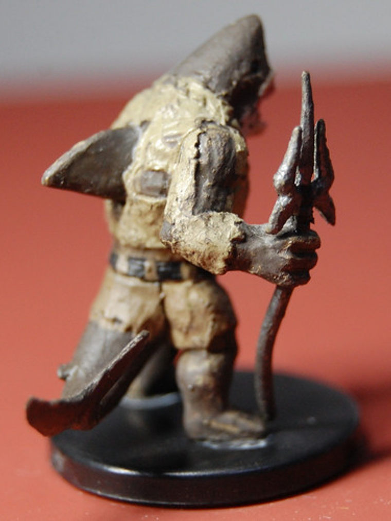 Wereshark Pirate #12 Skull & Shackles Dungeons And Dragons 2