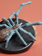 Wolf Spider #08 Icons Elemental Evil Mini Dungeons & Dragons - Miniatura 2