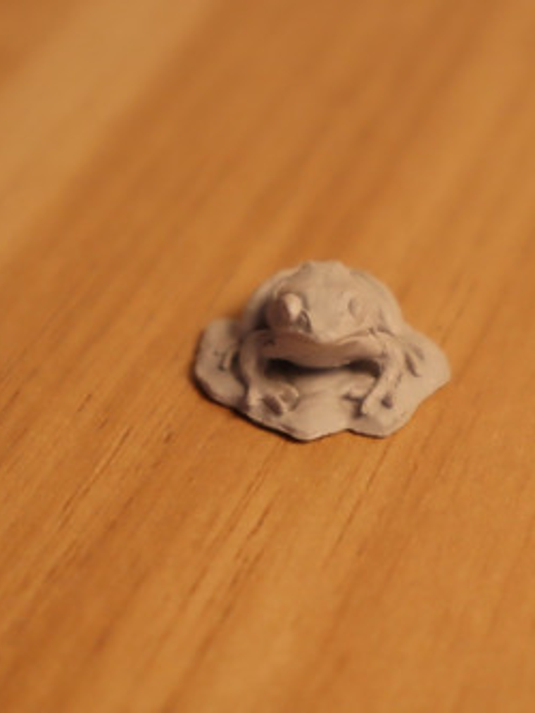 Toad Miniatura Nolzur Familiars Dungeons And Dragons 3
