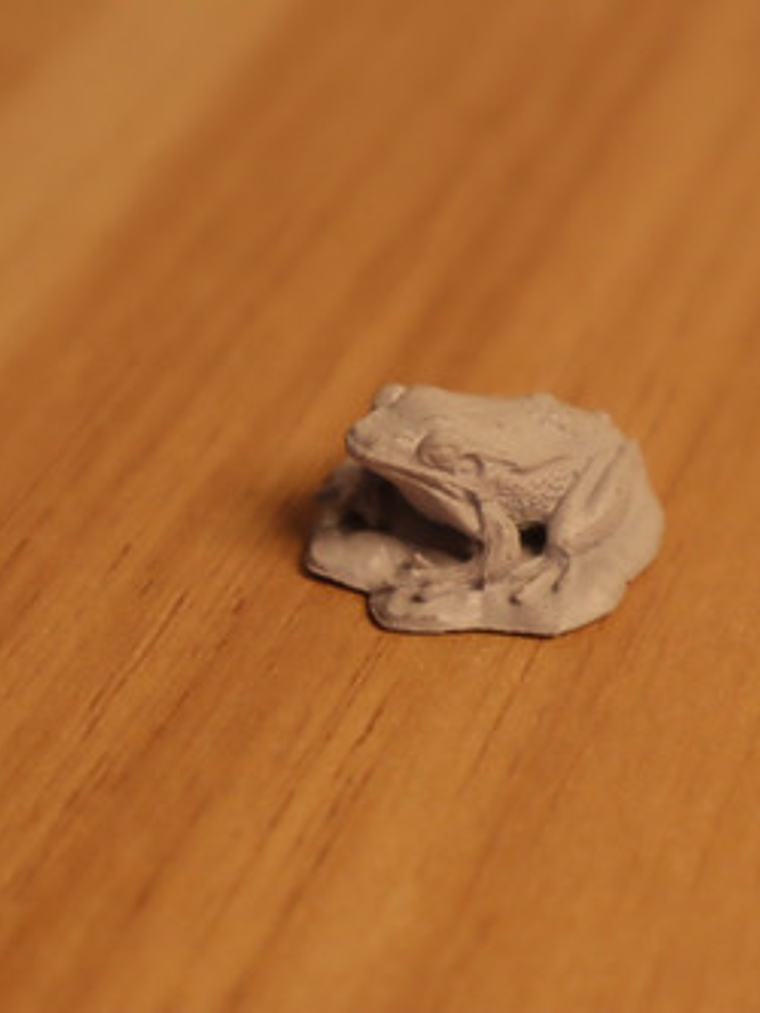 Toad Miniatura Nolzur Familiars Dungeons And Dragons 4