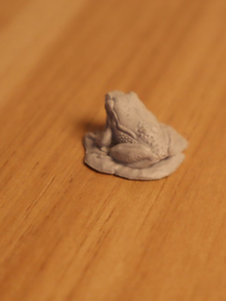 Toad Miniatura Nolzur Familiars Dungeons And Dragons 5