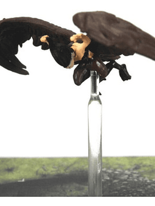 Harpy #39 Tyranny Of Dragons Miniatura Dungeons And Dragons