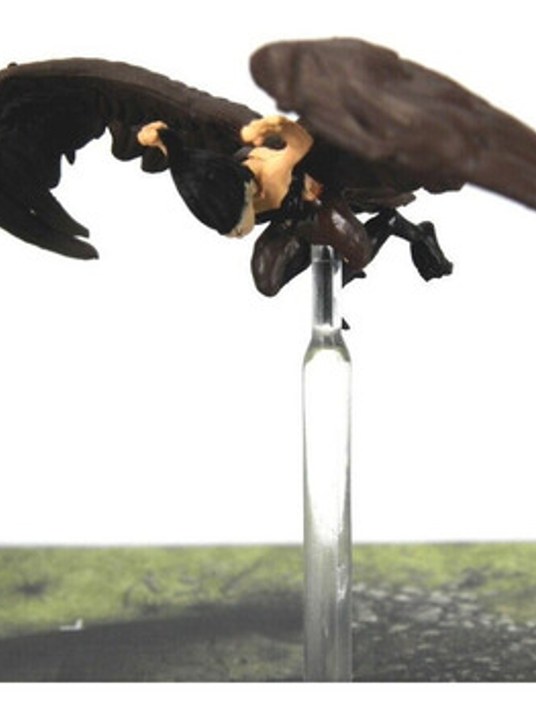 Harpy #39 Tyranny Of Dragons Miniatura Dungeons And Dragons 2