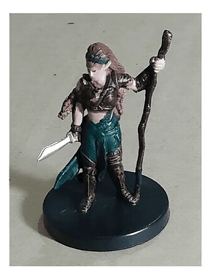 Warden Of The Wood #18 War Dragon Queen Dungeons And Dragons