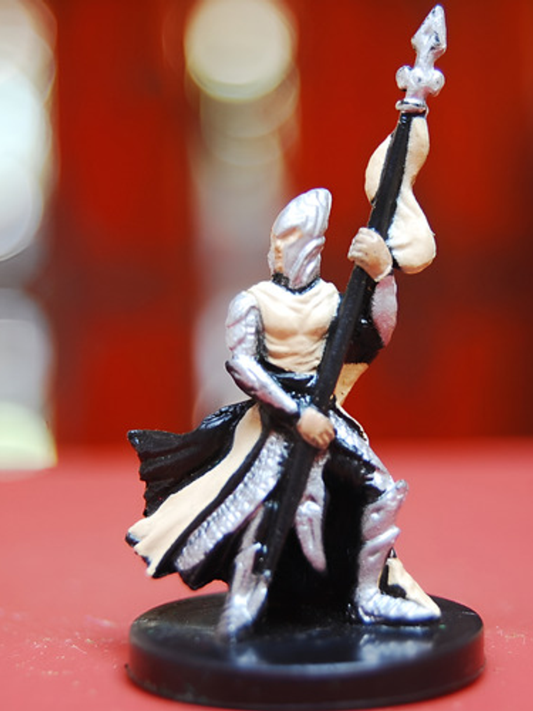 Elf Spearguard #19 Dragoneye Miniatura Dungeons And Dragons 1