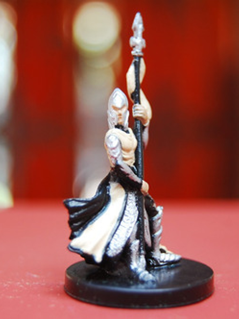 Elf Spearguard #19 Dragoneye Miniatura Dungeons And Dragons 4