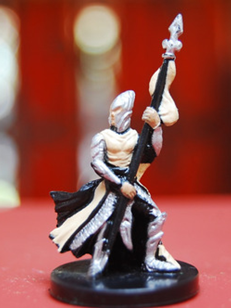 Elf Spearguard #19 Dragoneye Miniatura Dungeons And Dragons 5