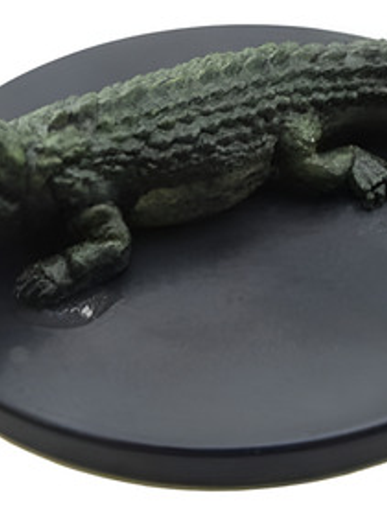 Crocodile #30 Icons Dragon Heist Miniatura Dungeons Dragons 1
