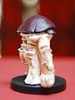 Myconid Guard / Miniaturas Dungeons And Dragons Dnd - Miniatura 4