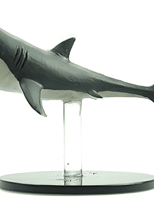 Shark #32 Skull And Shackles Miniatura Dungeons And Dragons
