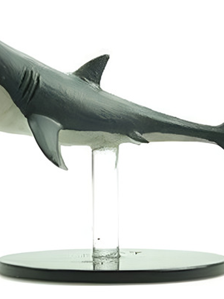 Shark #32 Skull And Shackles Miniatura Dungeons And Dragons 1