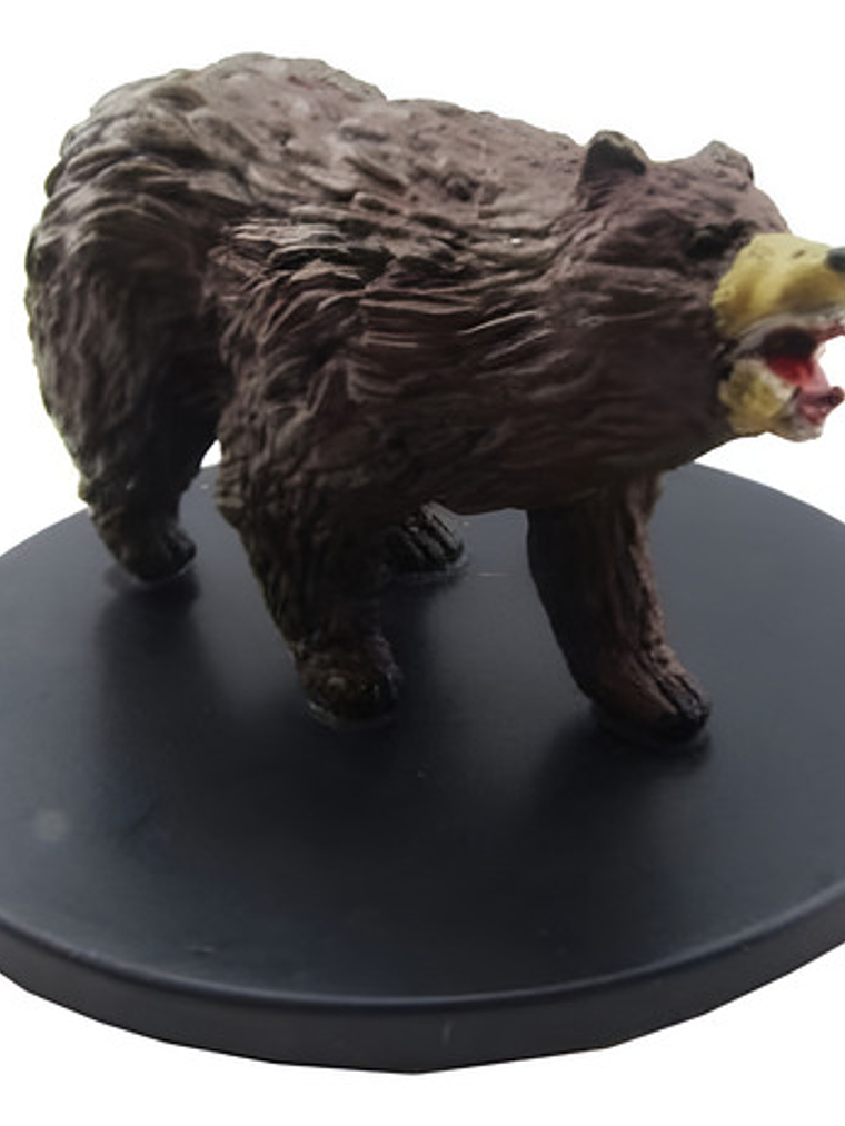Brown Bear #25 Icons Dragon Heist Miniatura Dungeons Dragons 1