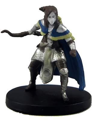Illydia Maethellyn #24 Icons Mm Miniatura Dungeons & Dragons