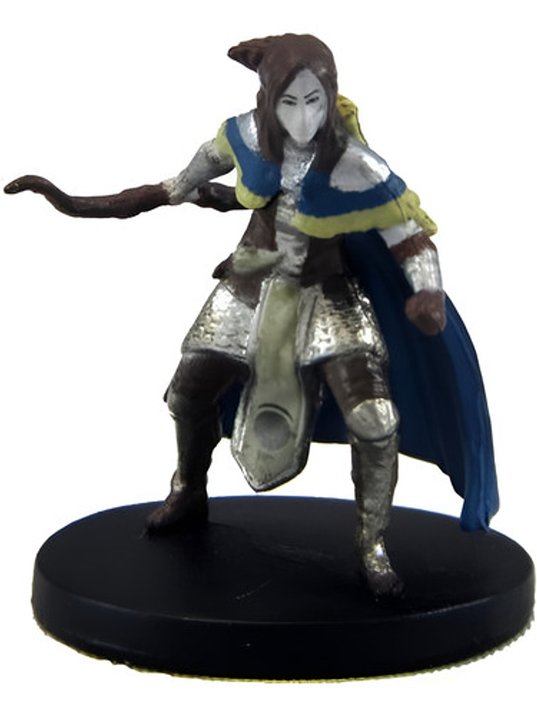 Illydia Maethellyn #24 Icons Mm Miniatura Dungeons & Dragons 1