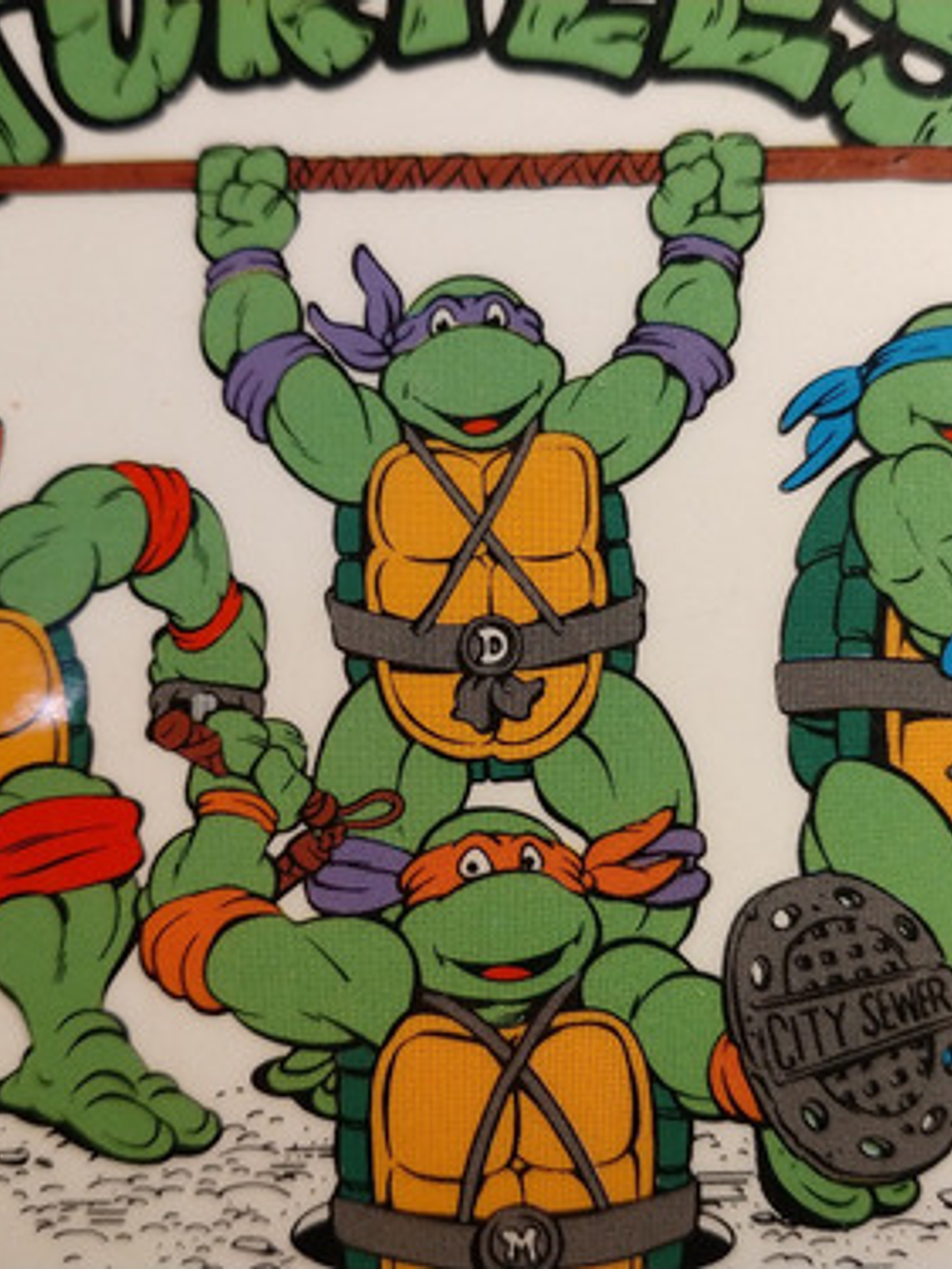 Pin De Sobremesa Tmnt 1990 Tortugas Ninja 90s 5