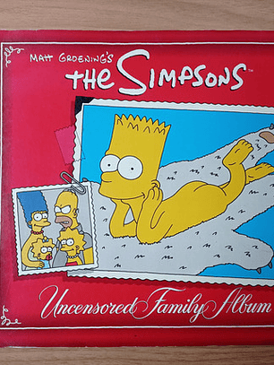 Simpsons Uncensored Family Album 1991 Matt Groening
