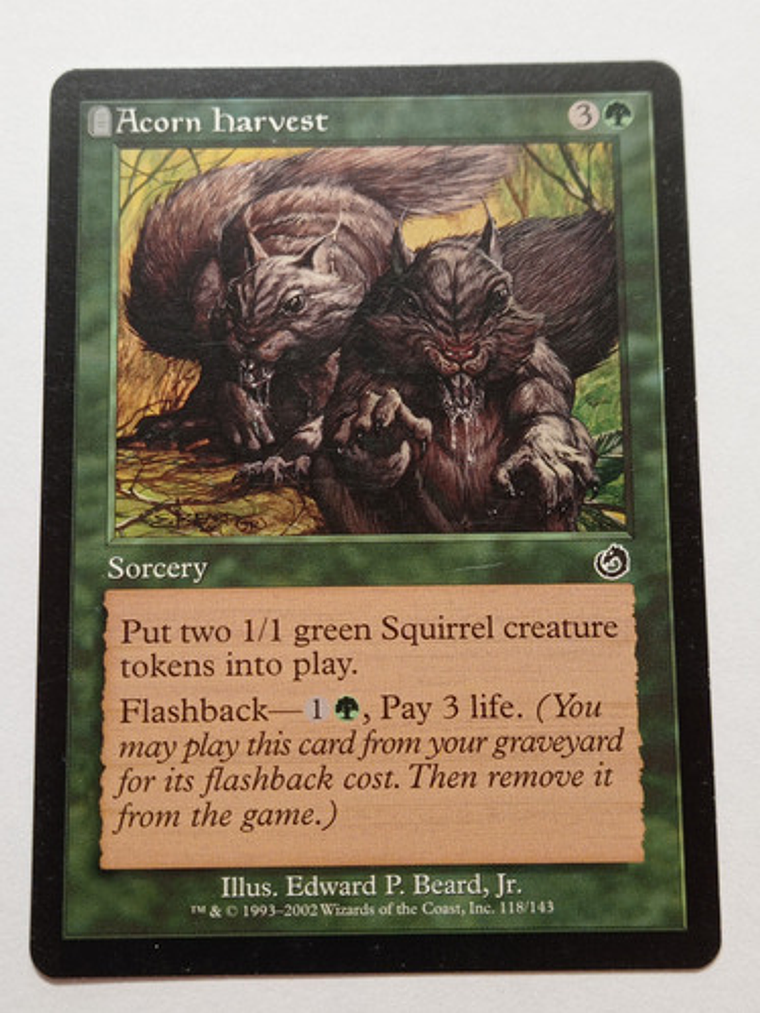 Carta Magic Acorn Harvest 2002 Torment Mtg 1