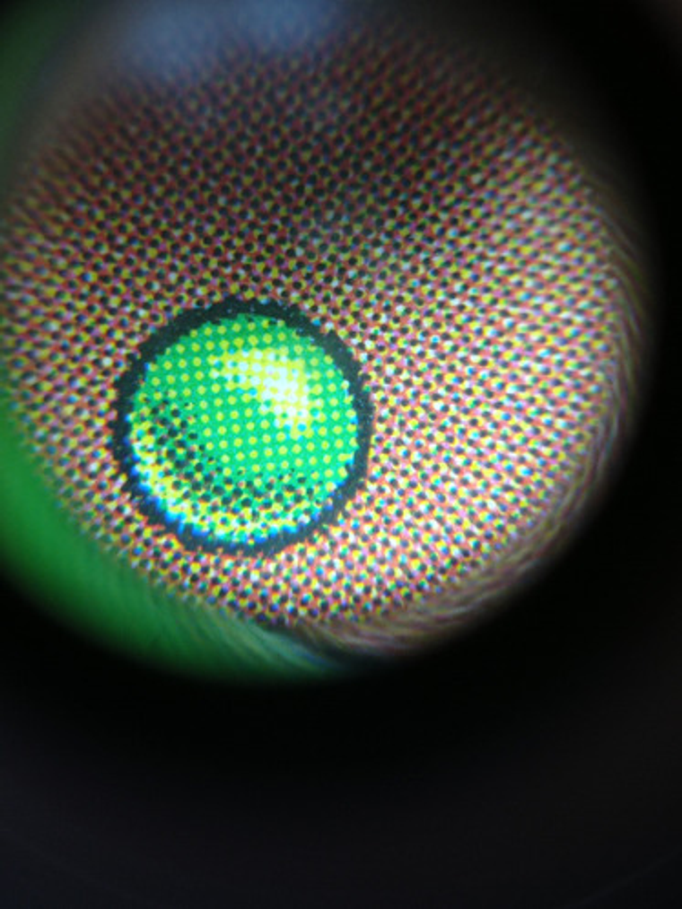 Carta Magic Anvil Of Bogardan 1996 [visions] Mtg Artifact 3