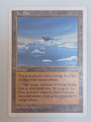 Carta Magic Ice Floe [5ed] Mtg Land