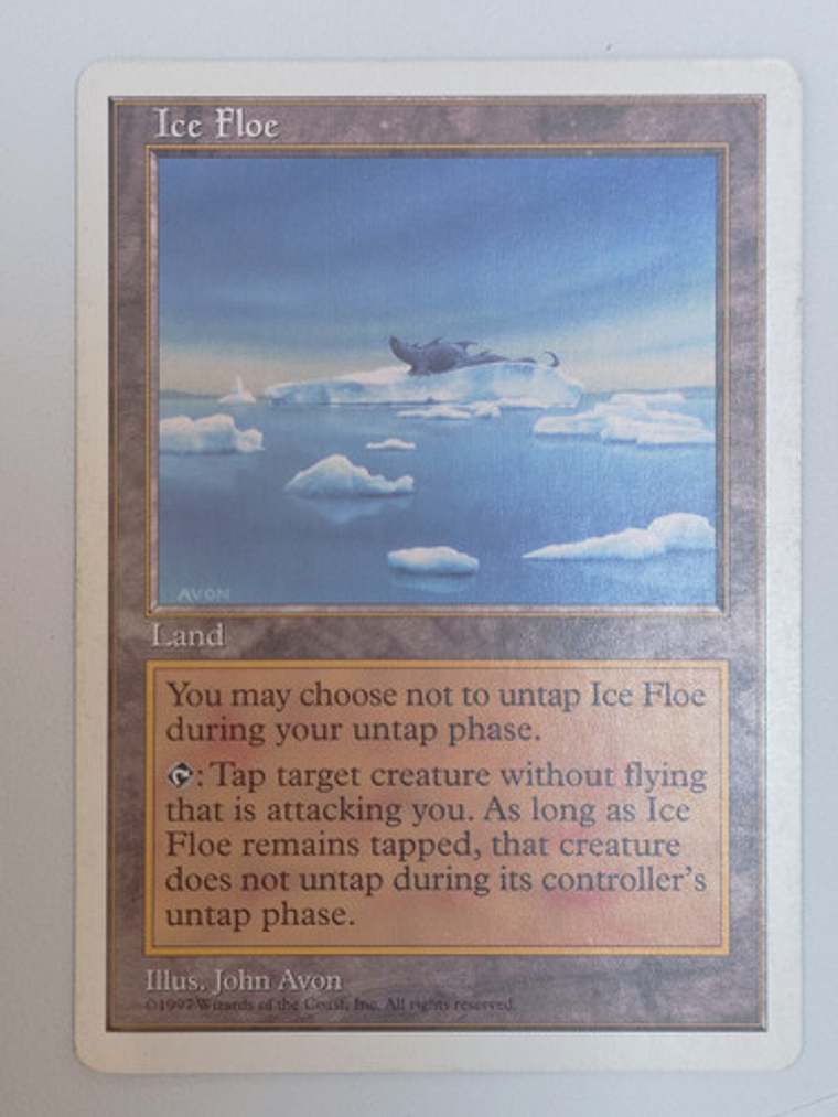 Carta Magic Ice Floe [5ed] Mtg Land 1
