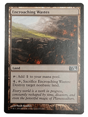 Carta Magic Encroaching Wastes [m14] Mtg Land