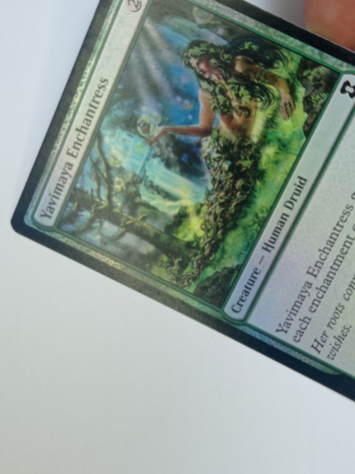 Carta Magic Yavimaya Enchantress (foil) [et Masters] Mtg 3