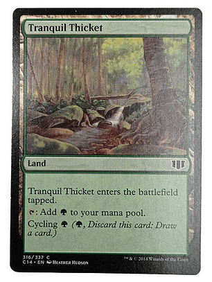 Carta Magic Tranquil Thicket [c14] Mtg Land